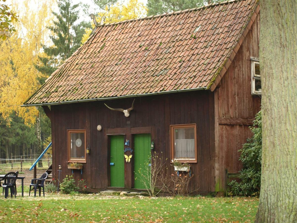 Villa Reiterhof Winandy Wietzendorf Exterior foto